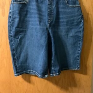Lands End Denim Blue Jean Shorts